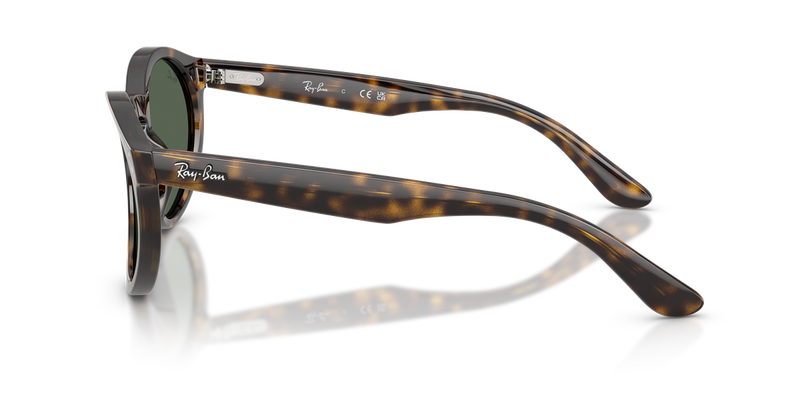 Ray-Ban RBR0505S in Havana / Dark Green (6790VR) - Alternate View