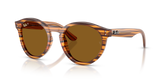 Striped Havana / Dark Brown Polarized (679183)