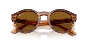 Striped Havana / Dark Brown Polarized (679183)