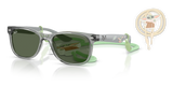 Transparent Grey / Dark Green (722871)