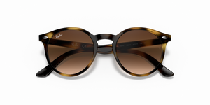 Havana / Dark Brown (152/13)