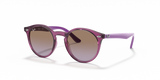 Transparent Fuxia / Violet Gradient Brown (706468)