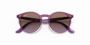 Transparent Fuxia / Violet Gradient Brown (706468)