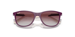 Purple On Beige / Violet/Grey (71348G)