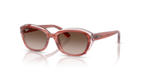 Striped Pink On Transparent Pink / Gradient Brown (717313)