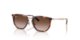 Striped Havana / Light Brown Gradient Dark Brow (721913)
