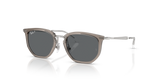 Transparent Grey / Dark Grey Polarized (722081)