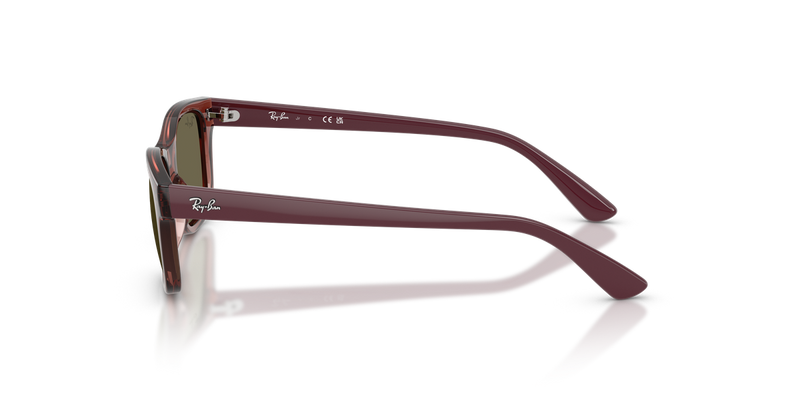 Ray-Ban Junior RJ9086S in Transparent Violet - Alternate View