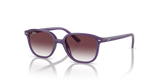 Opal Violet / Grey/Violet (713136)