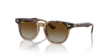 Havana On Transparent / Brown Polarized (7152T5)
