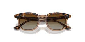 Havana On Transparent / Brown Polarized (7152T5)