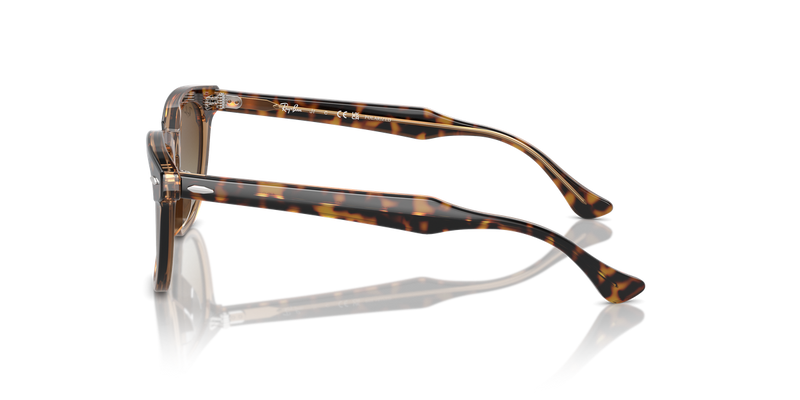 Ray-Ban Junior 0RJ9098S in Havana On Transparent - Back View