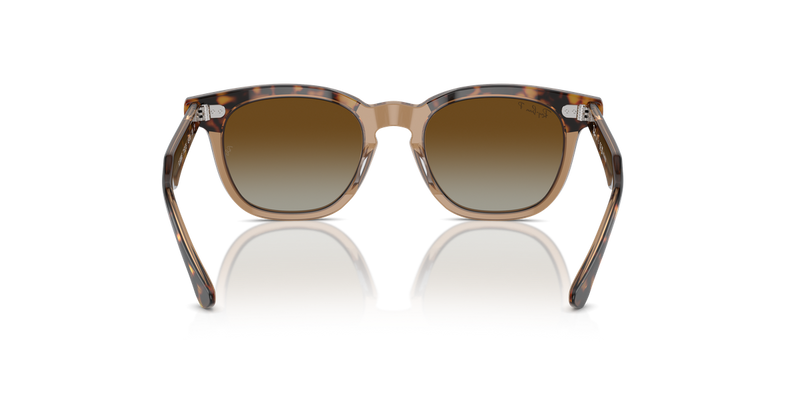 Ray-Ban Junior 0RJ9098S in Havana On Transparent - Temple Detail