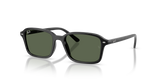 Black / Dark Green (100/71)