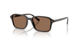 Havana / Dark Brown (152/73)