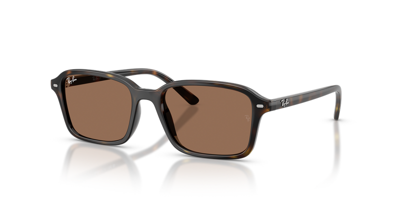 Ray-Ban Junior 0RJ9131S in Havana - Alternate View