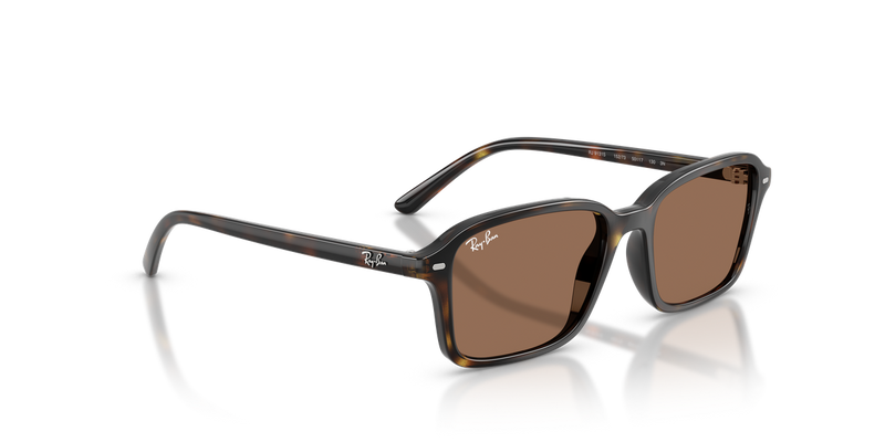 Ray-Ban Junior 0RJ9131S in Havana - Alternate View