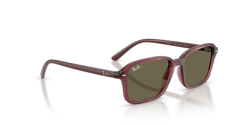 Ray-Ban Junior 0RJ9131S in Transparent Dark Violet - Alternate View