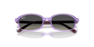 Transparent Violet / Gradient Grey (719911)