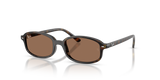 Havana / Dark Brown (152/73)