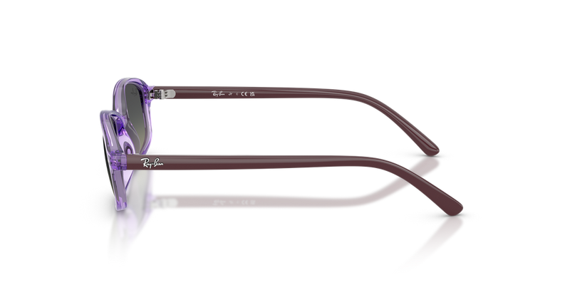 Ray-Ban Junior 0RJ9132S in Transparent Violet - Alternate View