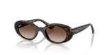 Havana / Gradient Brown (152/13)