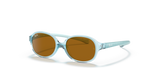 Transparent Light Blue / Brown (7081/3)