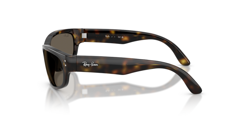 Ray-Ban Junior 0RJ9189S in Havana - Alternate View