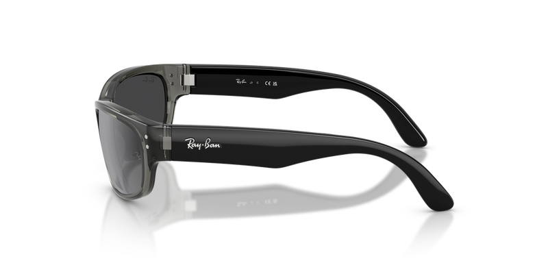 Ray-Ban Junior 0RJ9189S in Transparent Grey - Alternate View