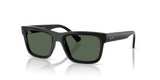 Black / Dark Green (100/71)