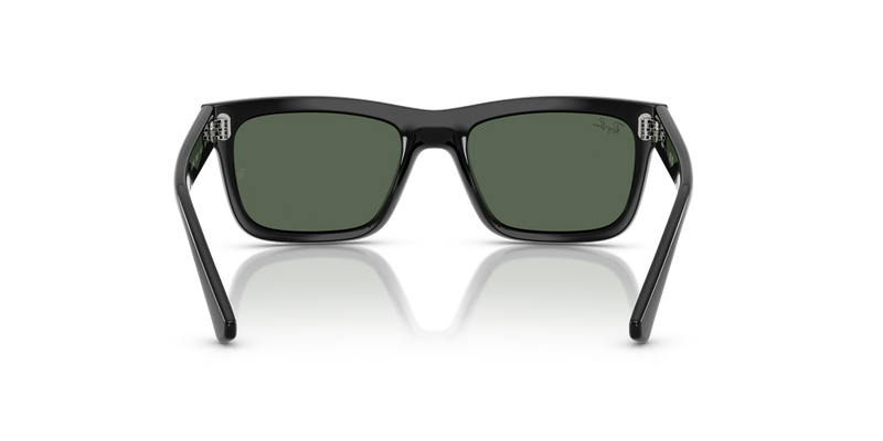 Ray-Ban Junior 0RJ9196S in Black - Temple Detail