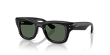 Black / Dark Green (100/71)