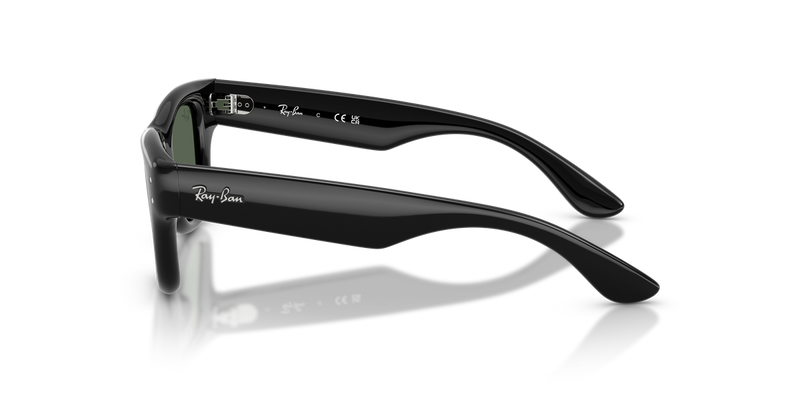 Ray-Ban Junior RJ9240S in Black - Back View
