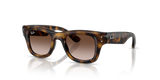 Havana / Light Brown Gradient Dark Brow (152/13)