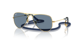 Arista Gold / Light Blue Mirror (223/1U)