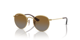 Arista Gold / Brown Polarized (223/T5)