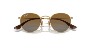 Arista Gold / Brown Polarized (223/T5)