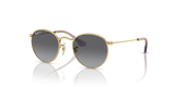 Arista Gold / Grey Polarized (292/T3)