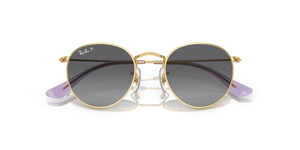 Arista Gold / Grey Polarized (292/T3)