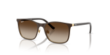 Brown On Arista / Gradient Brown (297/13)