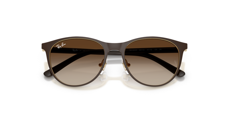 Ray-Ban Junior 0RJ9552S in Matte Brown On Arista Gold - Alternate View