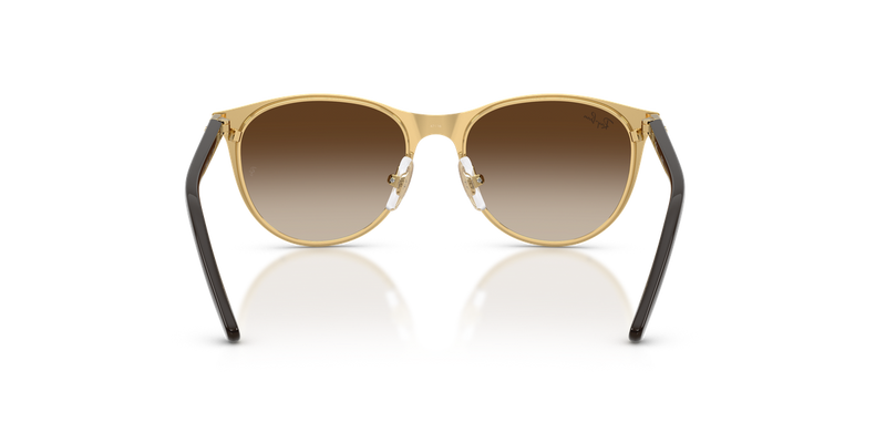 Ray-Ban Junior 0RJ9552S in Matte Brown On Arista Gold - Alternate View