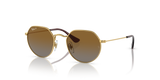Arista Gold / Brown Polarized (223/T5)