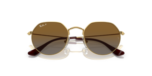Arista Gold / Brown Polarized (223/T5)