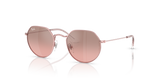 Light Pink / Pink Mirror Silver Gradient (304/7E)