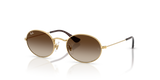 Arista / Light Brown Gradient Dark Brow (223/13)