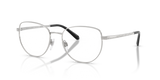 Shiny Silver / Demo Lens (9001)
