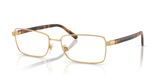 Shiny Gold / Demo Lens (9004)
