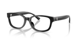 Shiny Black / Demo Lens (5001)