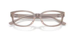 Brown/Grey / Demo Lens (6349)